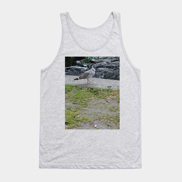 Hungry Seagull Tank Top by Alemway